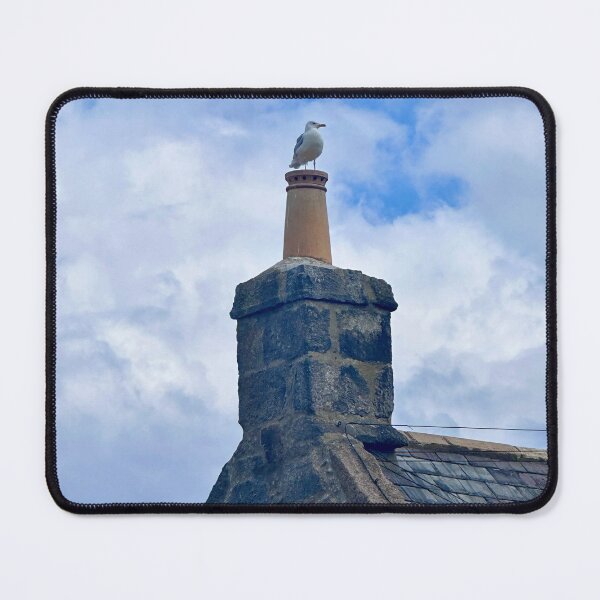 Item preview, The Seagull Has Landed by Pamela Storch designed and sold by Pamela Storch.