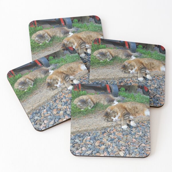 Item preview, Indie Album Covers feat. Catss designed and sold by Chez Mae.