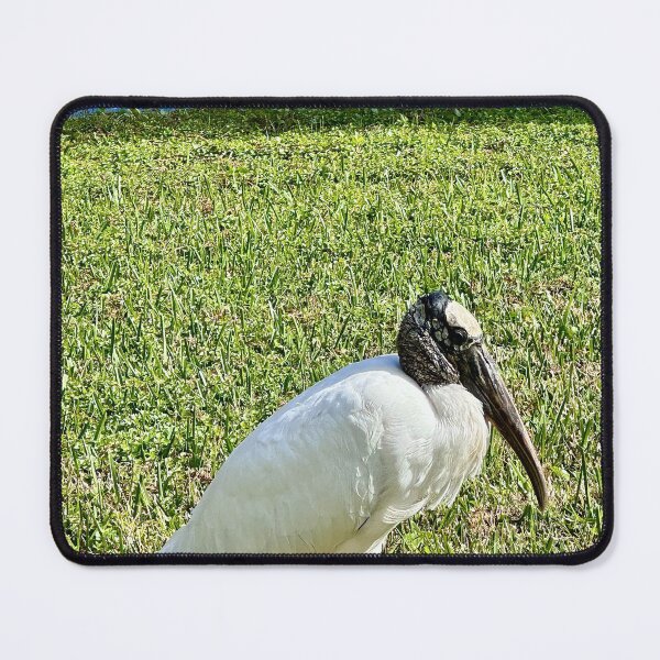 Item preview, Wood Stork on the Lake of Blue by Pamela Storch designed and sold by Pamela Storch.