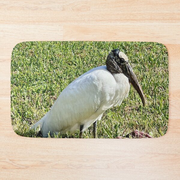 Item preview, Wood Stork on the Lake of Blue by Pamela Storch designed and sold by Pamela Storch.