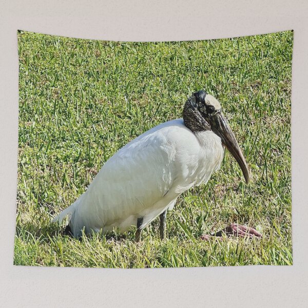 Item preview, Wood Stork on the Lake of Blue by Pamela Storch designed and sold by Pamela Storch.