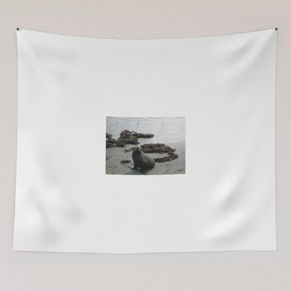 Item preview, Seal In Kaikoura New Zealand Gift designed and sold by Kiwi-Tienda2017.