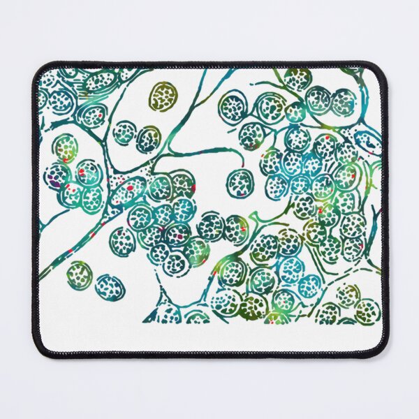 Item preview, Cells Of Lymphatic Gland Histology designed and sold by RogerKramer.