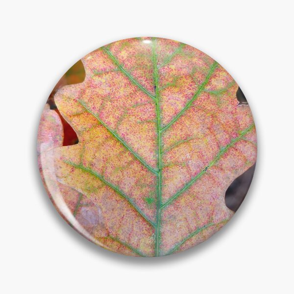 Item preview, Early Autumn Oak designed and sold by bjtomiko.