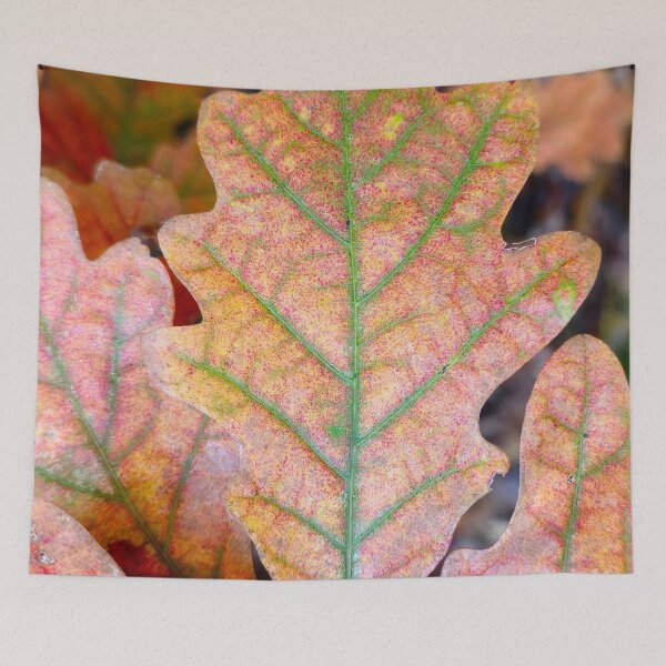 Item preview, Early Autumn Oak designed and sold by bjtomiko.