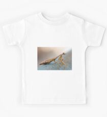 Praying Mantis (Iris oratoria). Common in Israel during August-December Kids Tee