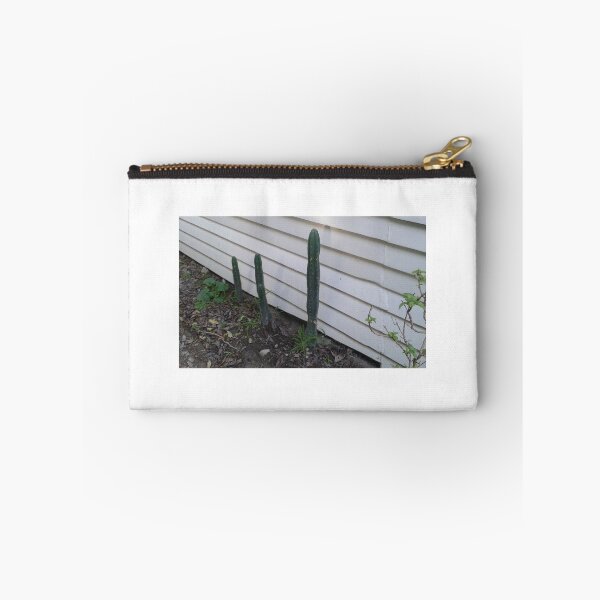 Item preview, San Pedro Cactus Garden designed and sold by Kiwi-Tienda2017.