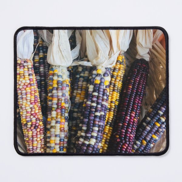 Item preview, Autumn Basket Filled With Colorful Ears Of Corn designed and sold by DEC02.