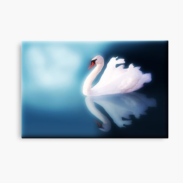 Moonlight Swim Canvas Print