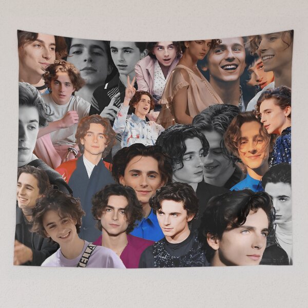 Item preview, Timothée Chalamet Collage – Color & Black-and-White Portrait Mix designed and sold by Underhillboon.