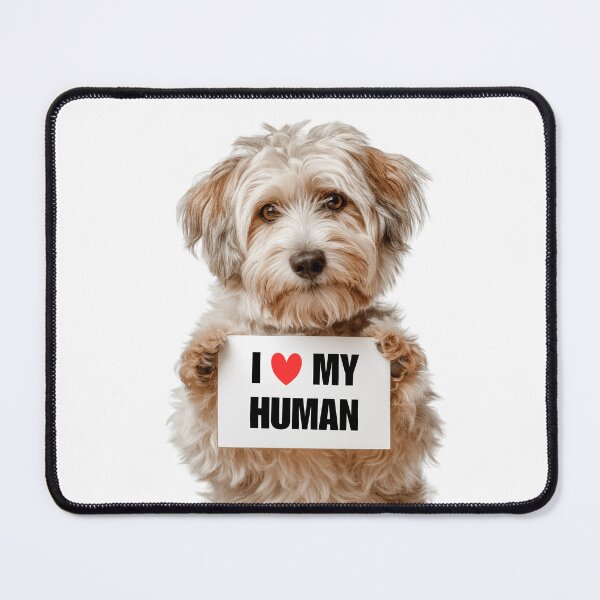 Item preview, Cute Dandie Dinmont Terrier dog with Signboard I love my Human designed and sold by LazyOwlStore.