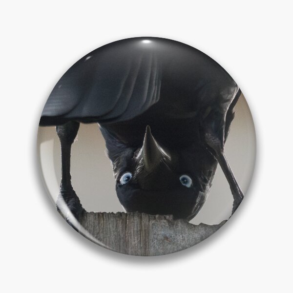 Item preview, oh dear designed and sold by Little Raven .