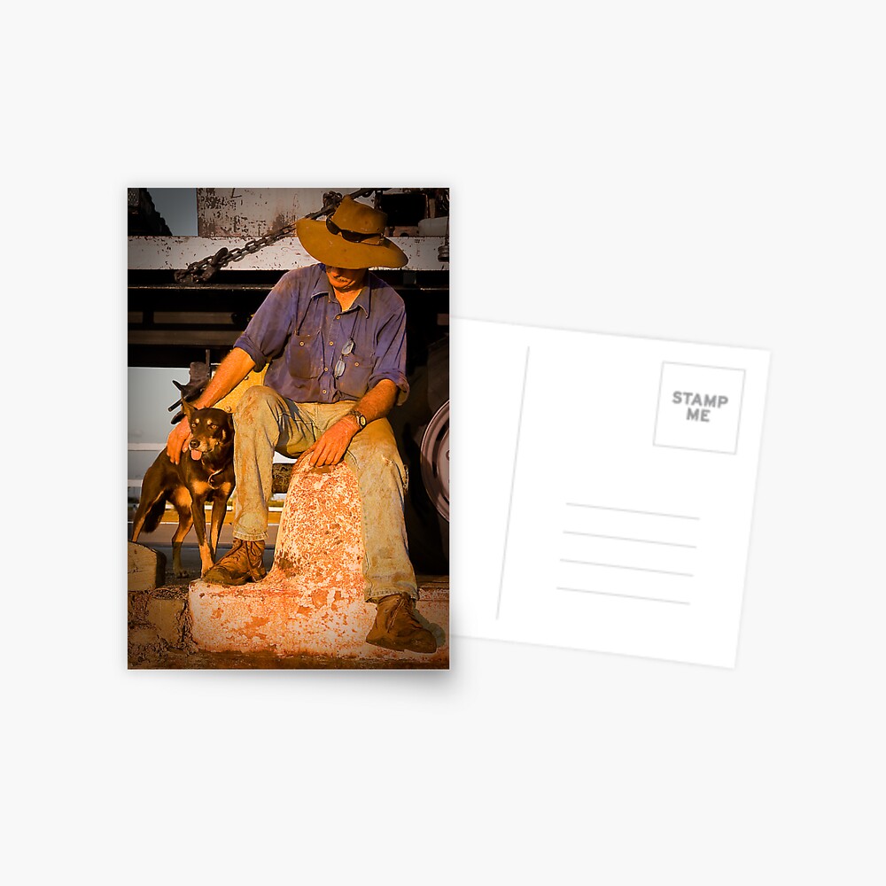 "China Plates" Postcard