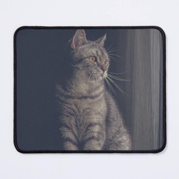 Item preview, Golden Gaze Cat by the Window designed and sold by Drawings Project.