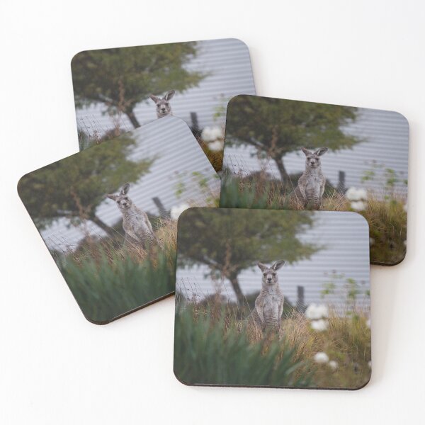 Item preview, Kangeroo Chewing Grass in Bush  designed and sold by Clayton Captures.