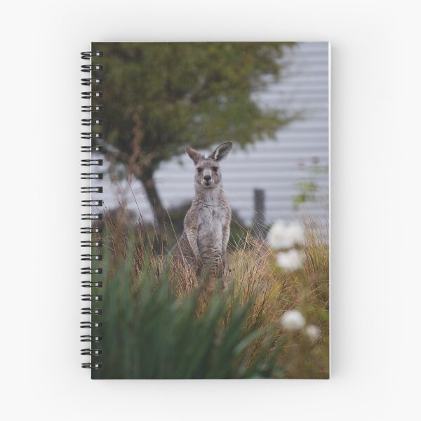 Item preview, Kangeroo Chewing Grass in Bush  designed and sold by Clayton Captures.