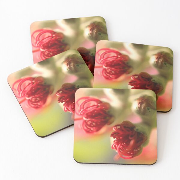 Item preview, Pohutukawa Buds designed and sold by FmmNZ.