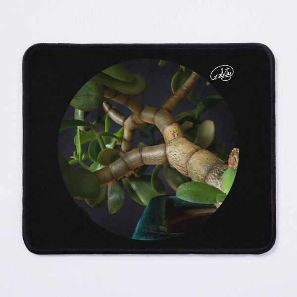 Item preview, Branches Jade Plant designed and sold by ydwpqdvv99.