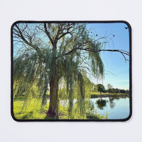 Item preview, Skywriting Quintino Over Concrete designed and sold by Vedette X Bourassa.