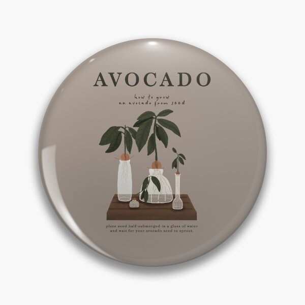 Item preview, Avocado Seed Growing Illustration designed and sold by anotherkknab.