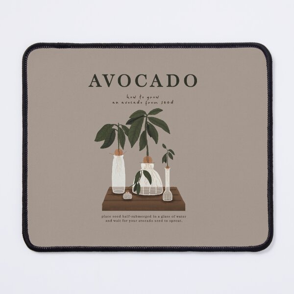 Item preview, Avocado Seed Growing Illustration designed and sold by anotherkknab.