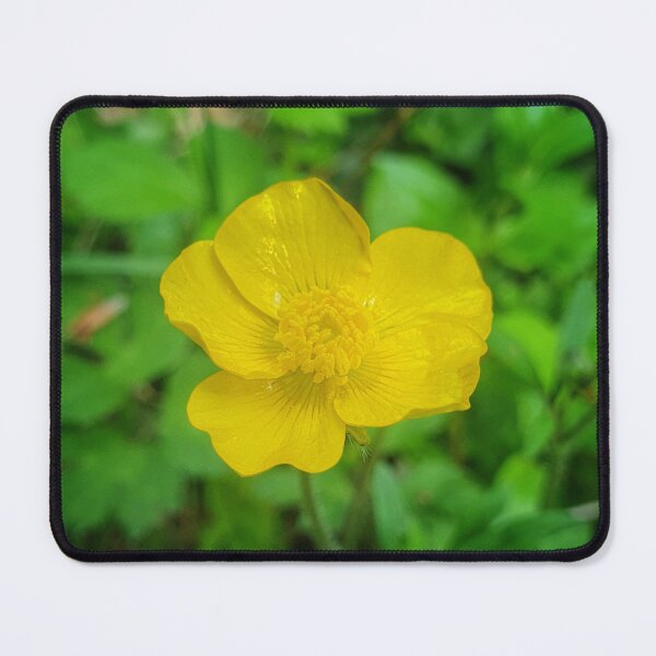 Item preview, Buttercup designed and sold by Designs by Helen.