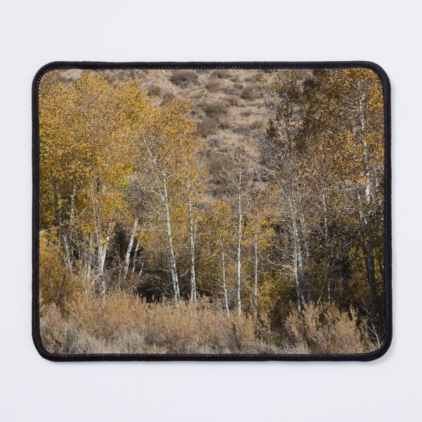 Item preview, Autumn Colors in the Sierras designed and sold by NancyKHajjar.