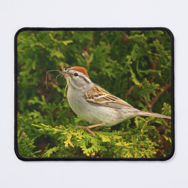 Item preview, Bunting making its nest designed and sold by Production Art Manon Meilleur.