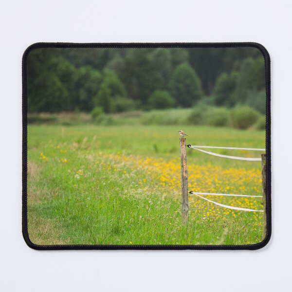 Item preview, Red-backed Shrike in a Summer Meadow – Peaceful Countryside Photography designed and sold by alicjamiekina.
