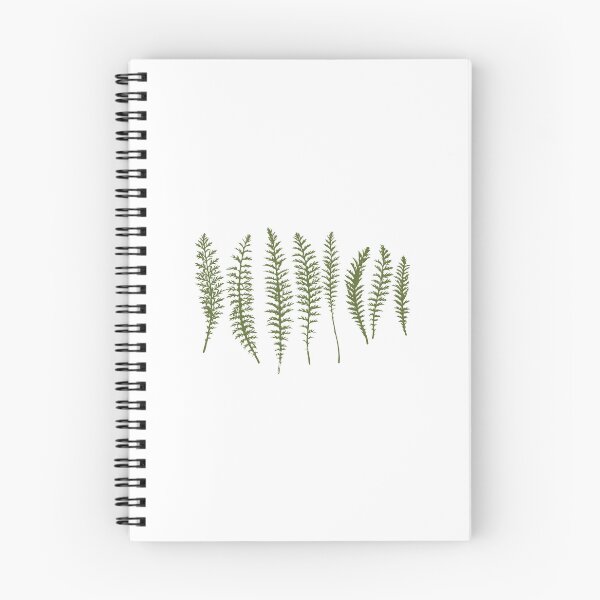 Item preview, yarrow leaves designed and sold by sweetb3rry.