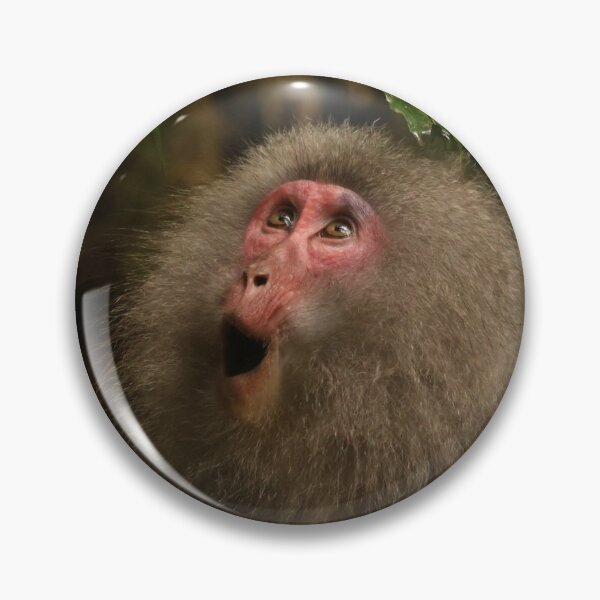 Item preview, Yakushima Monkey designed and sold by LBWildArt.