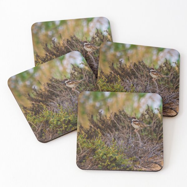 Item preview, A bird perches on a branch designed and sold by Nmallia.