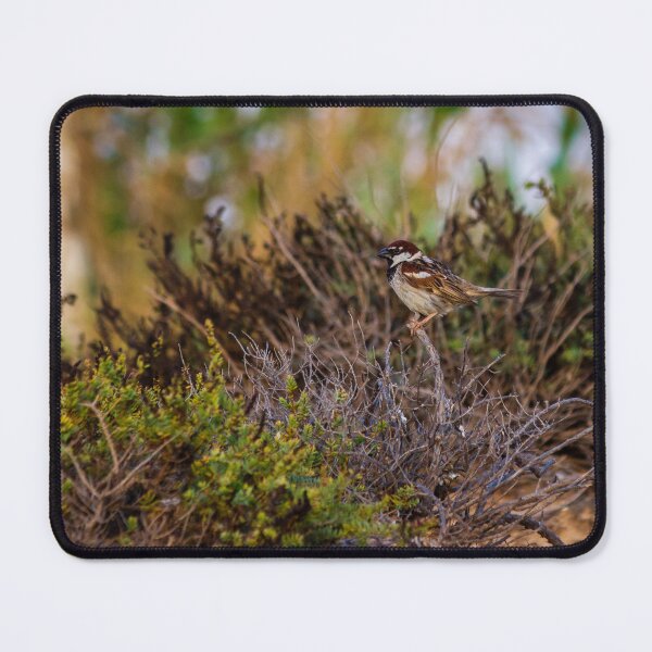 Item preview, A bird perches on a branch designed and sold by Nmallia.