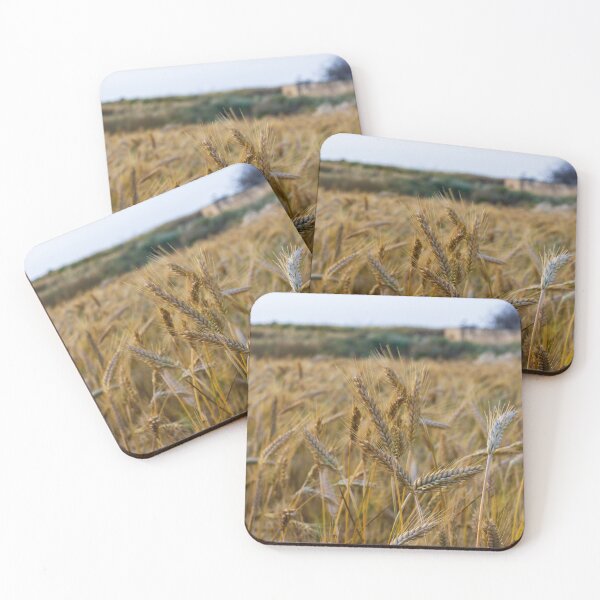 Item preview, Golden Barley in a Field of Gold designed and sold by Nmallia.