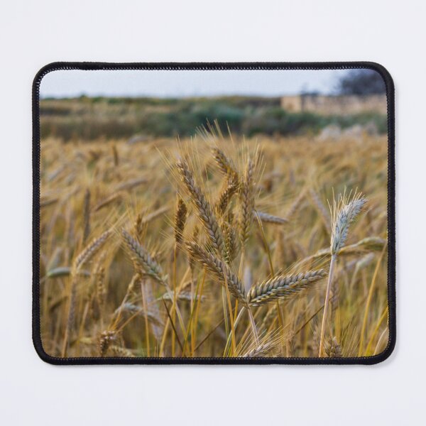 Item preview, Golden Barley in a Field of Gold designed and sold by Nmallia.