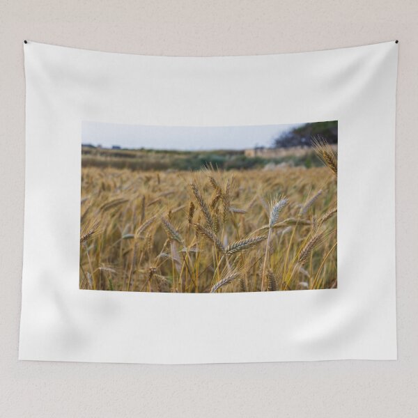 Item preview, Golden Barley in a Field of Gold designed and sold by Nmallia.