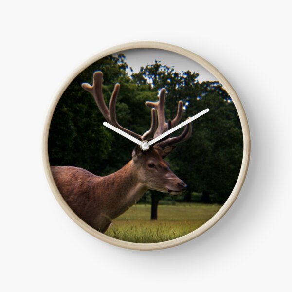 Deer Clock