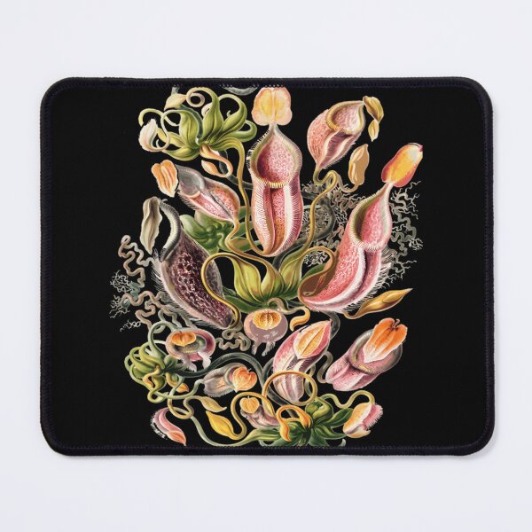 Item preview, Carnivorous Plant Horticulture designed and sold by fsuuswno5.