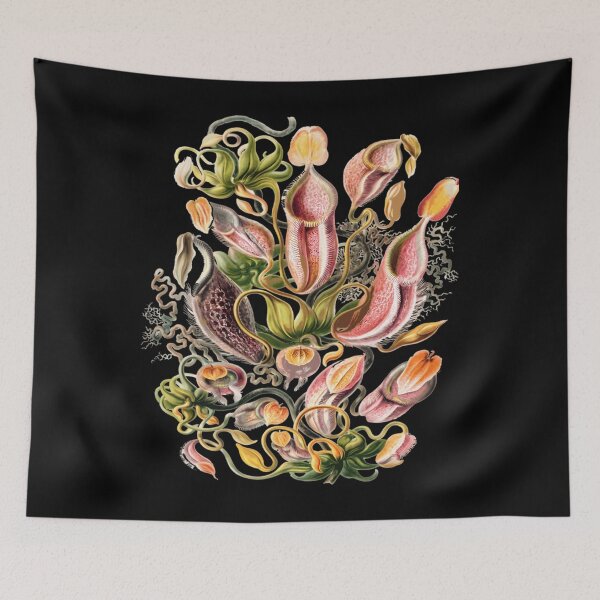 Item preview, Carnivorous Plant Horticulture designed and sold by fsuuswno5.