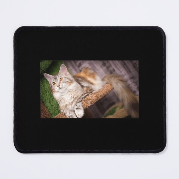 Item preview, Cat Tree For Lovely Cat - Cat Picture designed and sold by ewzngnpcdcu6.