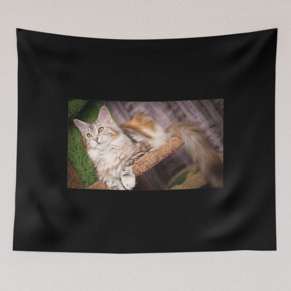 Item preview, Cat Tree For Lovely Cat - Cat Picture designed and sold by ewzngnpcdcu6.