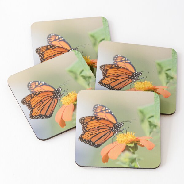Item preview, Monarch Butterfly on Mexican Sunflower 9-19-25 designed and sold by Thomasyoung.