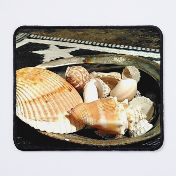 Item preview, Seminole Shells designed and sold by Anti-Catfish.