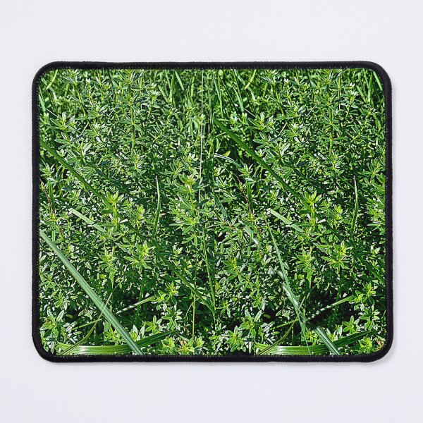 Item preview, Hot summer day in nature designed and sold by DjeriK.