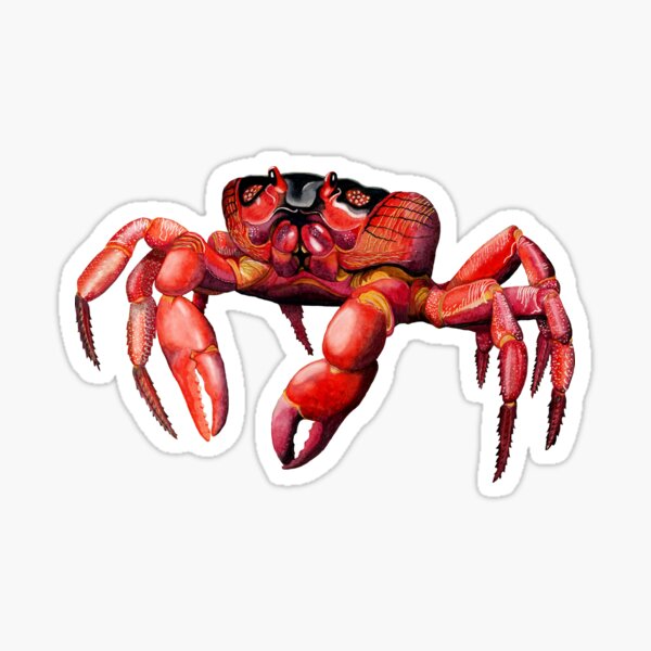 Christmas Island Red Crab Sticker
