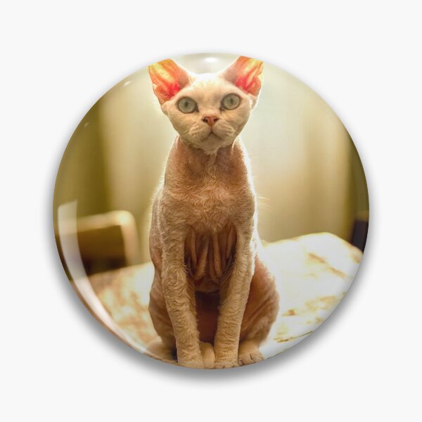 Item preview, Devon Rex Eliot designed and sold by Designs-by-JK.