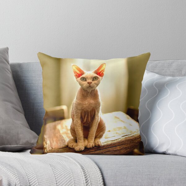 Item preview, Devon Rex Eliot designed and sold by Designs-by-JK.