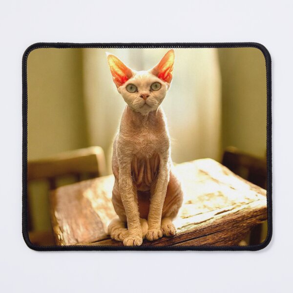 Item preview, Devon Rex Eliot designed and sold by Designs-by-JK.
