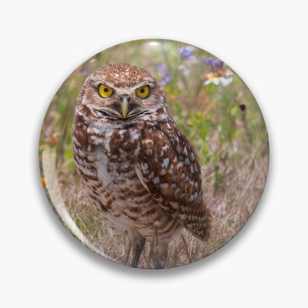 Item preview, Burrowing Owl designed and sold by Alla Gill.