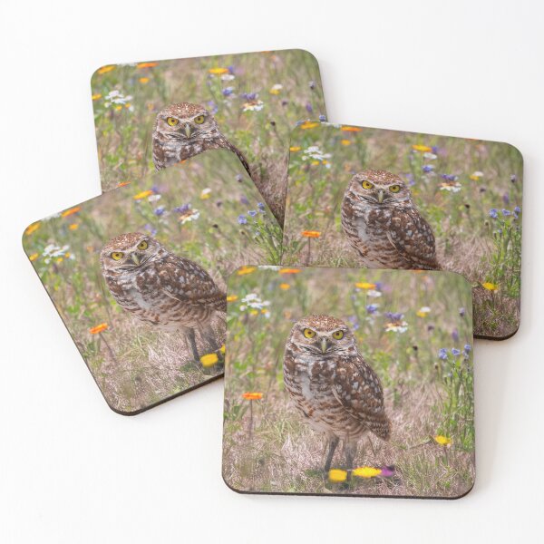 Item preview, Burrowing Owl designed and sold by Alla Gill.